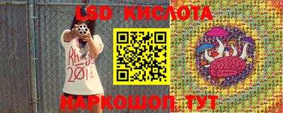 PSILOCYBIN Туймазы