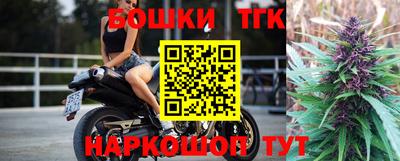 индика Тулун