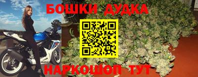 индика Тулун