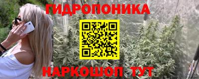 индика Тулун