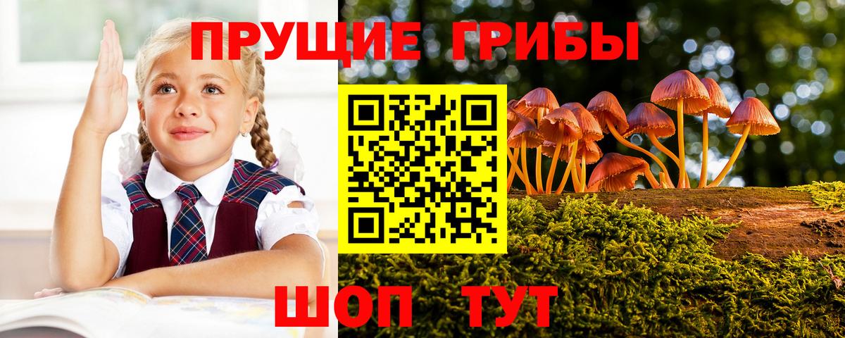 Галлюциногенные грибы прущие грибы Нижний Новгород